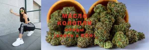 скорость Вяземский