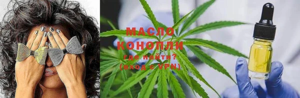 дживик Вязьма
