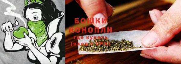скорость Вяземский