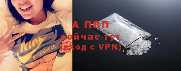 скорость Вяземский