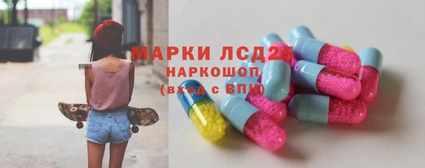 дживик Вязьма