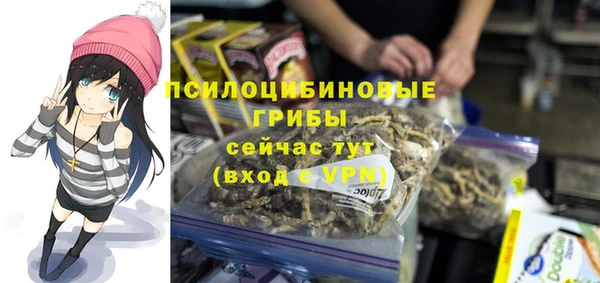 скорость Вяземский