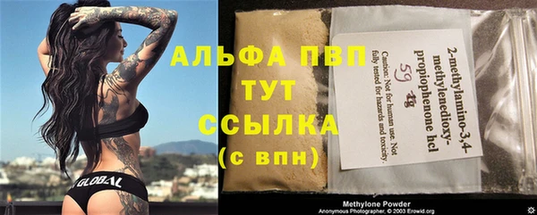 дживик Вязьма