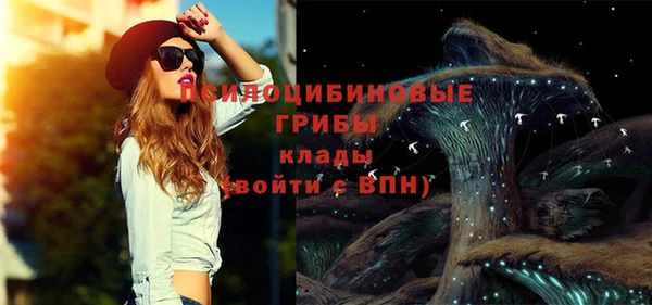СК Вязники