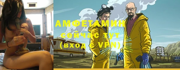 скорость Вяземский