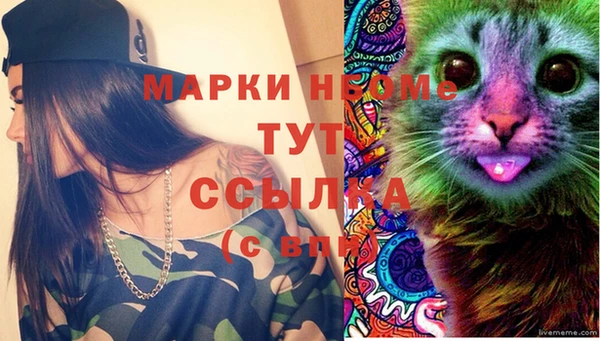дживик Вязьма